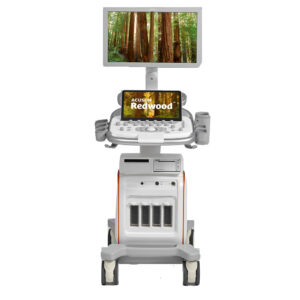 Siemens Acuson Redwood — УЗИ аппарат