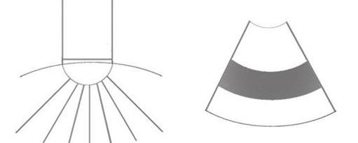 Ультразвуковые лучи конвексного датчика